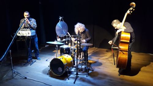 Primitive Field su Ignorarte